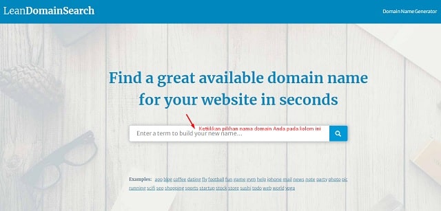 Lean Domain Search COM